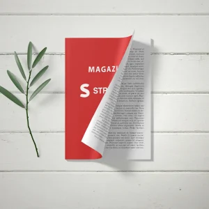 Magazine